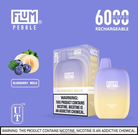 Flum Pebble Flavors - FLUM PEBBLES 6000 bouffées mélo aux myrtilles P808616