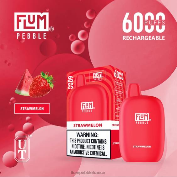 Flum Pebble Flavors - FLUM PEBBLES 6000 bouffées pastèque P808676