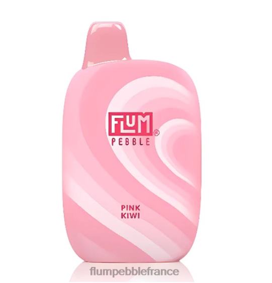 Flum Pebble Paris - FLUM PEBBLES 6000 bouffées kiwi rose P808642