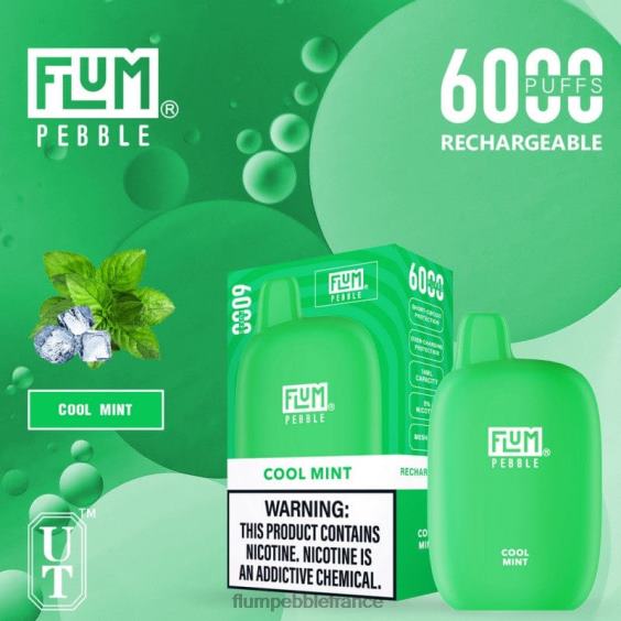 Flum Pebble Price - FLUM PEBBLES 6000 bouffées menthe fraîche P808624