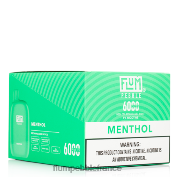 Flum Pebble Vape Flavors - FLUM PEBBLES 6000 bouffées 10 paquets menthol P808658