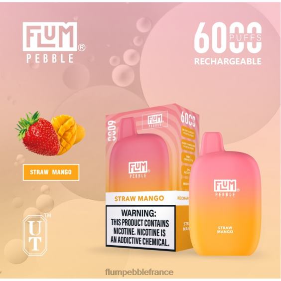 Flum Pebble Vape Flavors - FLUM PEBBLES 6000 bouffées mangue paille P808668