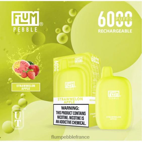 Flum Pebble Vape Flavors - FLUM PEBBLES 6000 bouffées pomme pastèque P808678