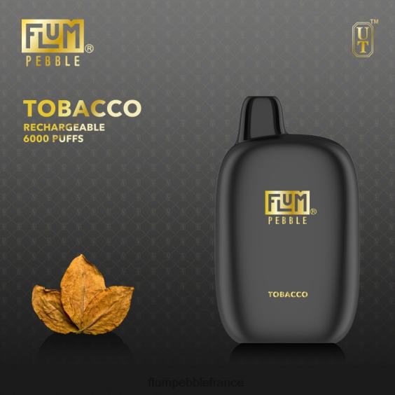 Flum Pebble Vape France - FLUM PEBBLES 6000 bouffées le tabac P808683