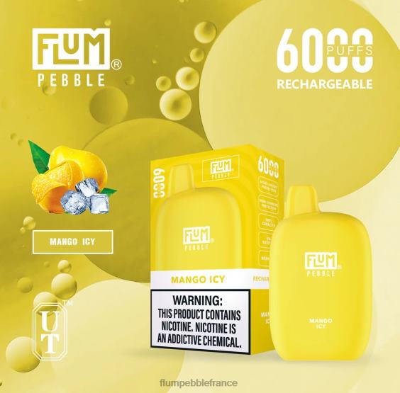 Flum Pebble Vape France - FLUM PEBBLES 6000 bouffées mangue glacée P808653