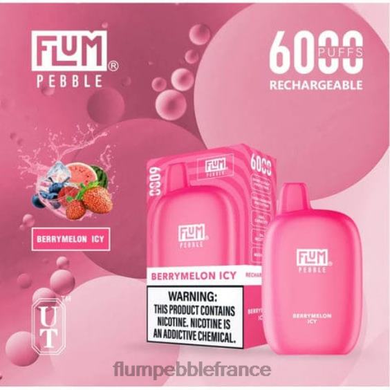 Flum Pebble Vape Near Me - FLUM PEBBLES 6000 bouffées melon glacé P80867