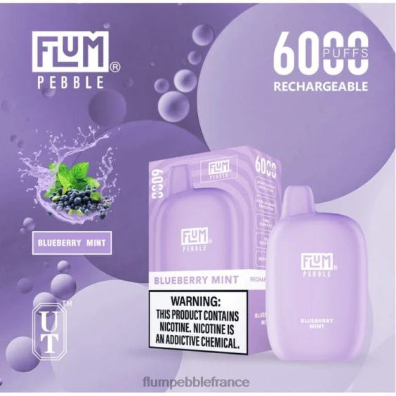 Flum Pebble Vape Near Me - FLUM PEBBLES 6000 bouffées menthe myrtille P808617