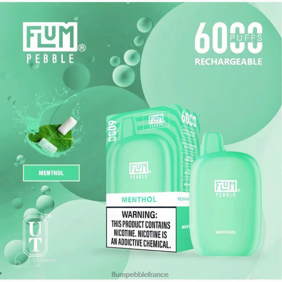 Flum Pebble Vape Near Me - FLUM PEBBLES 6000 bouffées menthol P808657