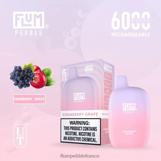 Flum Pebble Vape Near Me - FLUM PEBBLES 6000 bouffées raisin de canneberge P808627