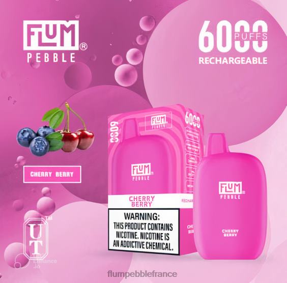 Flum Pebble Vape Price - FLUM PEBBLES 6000 bouffées baie de cerise P808620