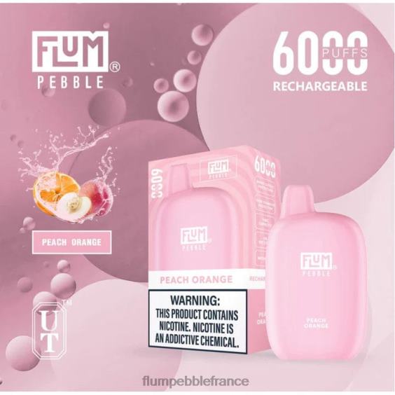 Flum Pebble Vape Price - FLUM PEBBLES 6000 bouffées pêche glacée P808660