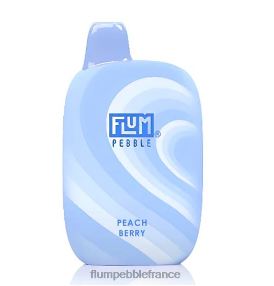 Flum Pebble Vape Review - FLUM PEBBLES 6000 bouffées baie de pêche P808639