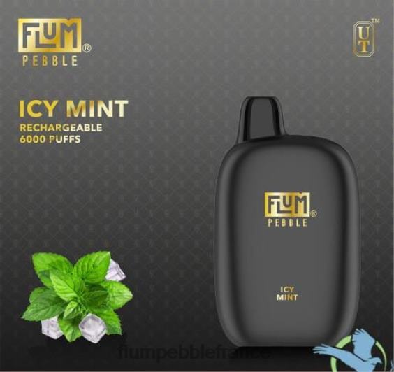 Flum Pebble Vape Review - FLUM PEBBLES 6000 bouffées menthe glacée P808649