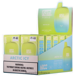 Flum Pebble Flavors - FLUM PEBBLES 6000 bouffées 10 paquets arctique glacé P80866