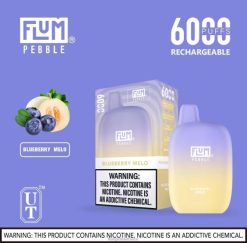Flum Pebble Flavors - FLUM PEBBLES 6000 bouffées mélo aux myrtilles P808616
