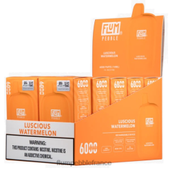 Flum Pebble France - FLUM PEBBLES 6000 bouffées 10 paquets pastèque succulente P808651