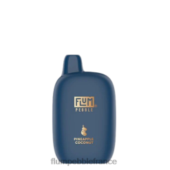 Flum Pebble France - FLUM PEBBLES 6000 bouffées (édition de Noël) ananas noix de coco P808641