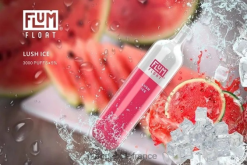 Flum Pebble Paris - FLUM FLOAT 3000 bouffées glace luxuriante P808652