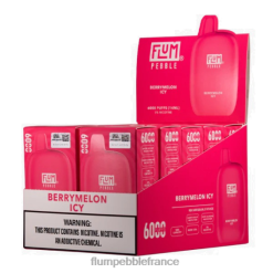 Flum Pebble Vape Flavors - FLUM PEBBLES 6000 bouffées 10 paquets melon glacé P80868