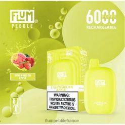 Flum Pebble Vape Flavors - FLUM PEBBLES 6000 bouffées pomme pastèque P808678