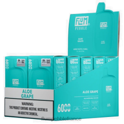 Flum Pebble Vape France - FLUM PEBBLES 6000 bouffées 10 paquets raisin d'aloès P80863