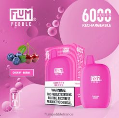 Flum Pebble Vape Price - FLUM PEBBLES 6000 bouffées baie de cerise P808620